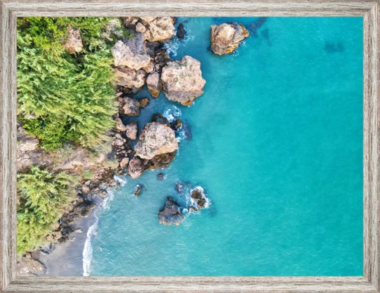 Wild Coast