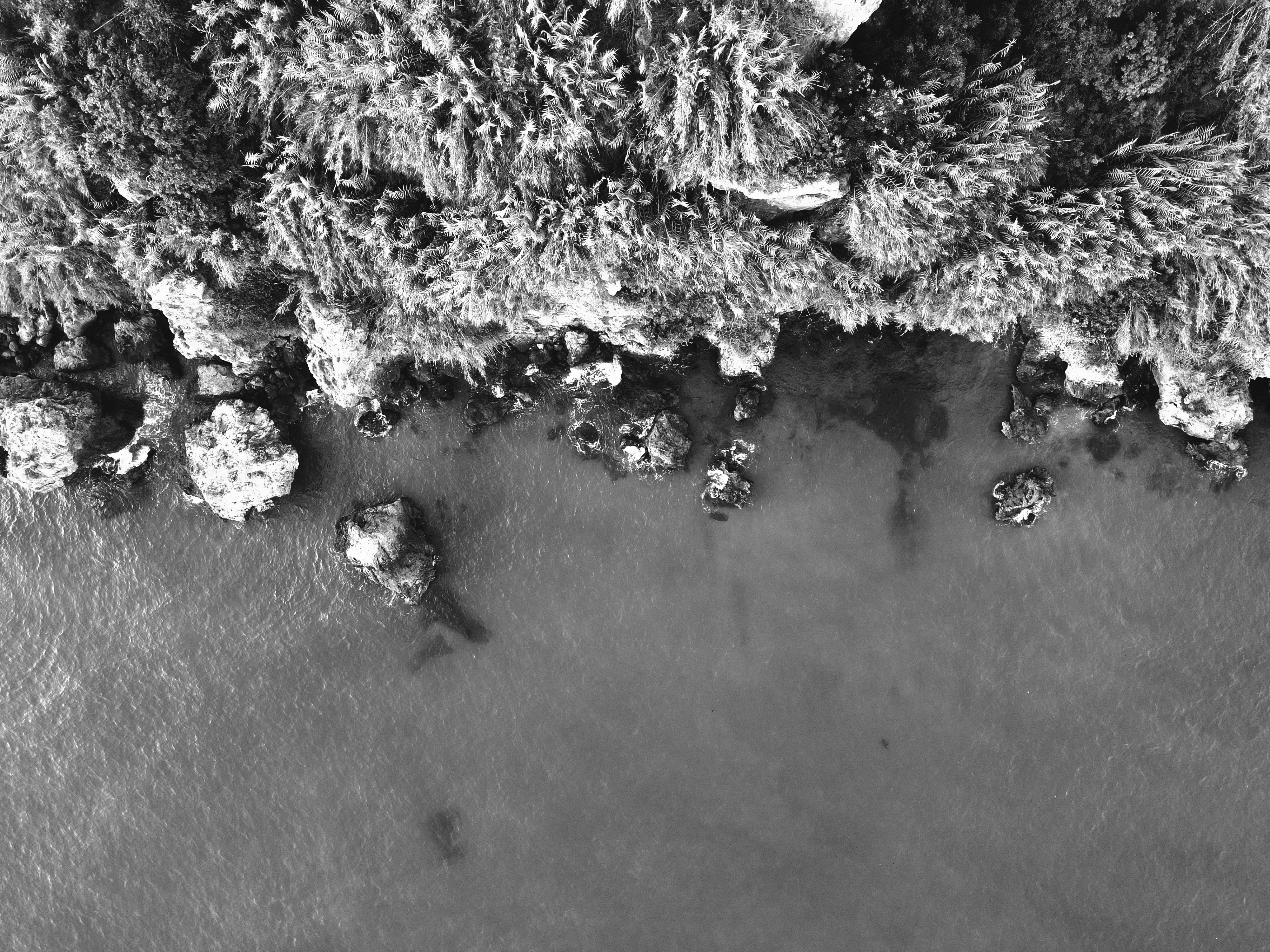 petrig.photos