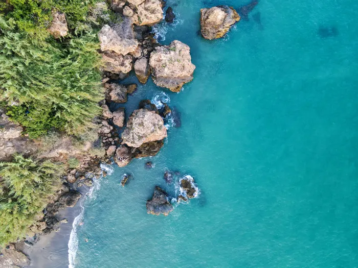 Wild Coast